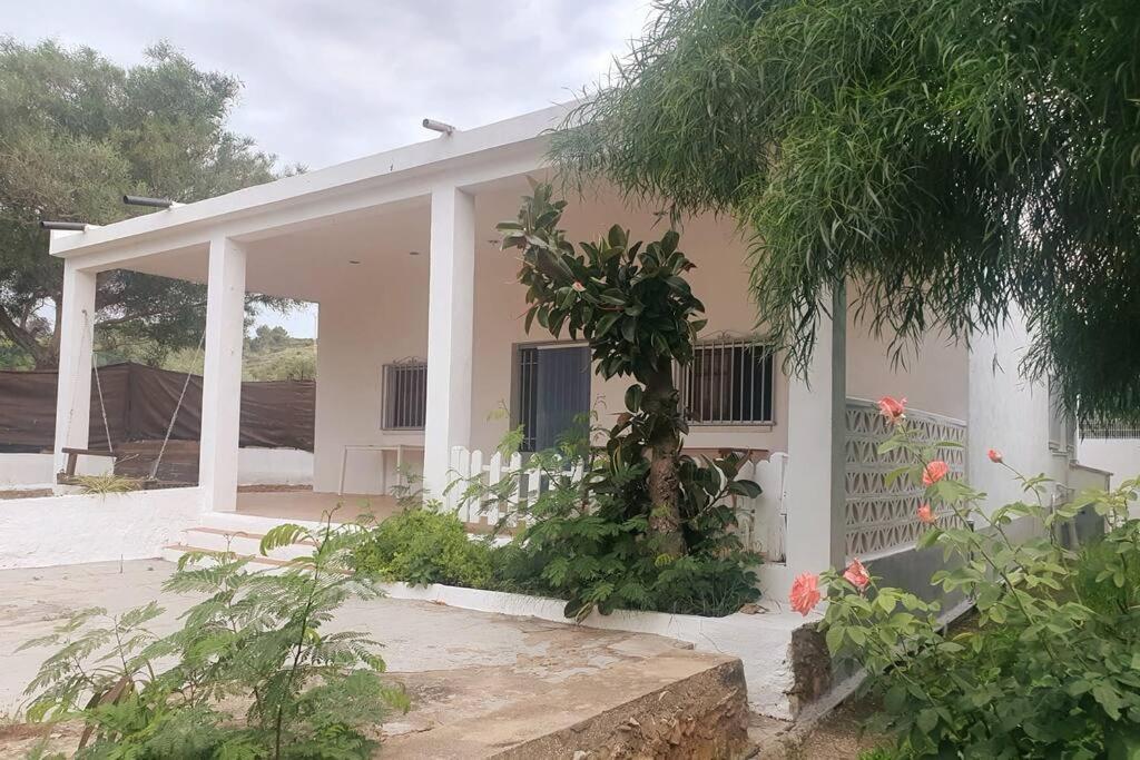 Casa Campo Con Piscina Y Barbacoa Para 6 Personas En Plena Naturaleza Picassent Eksteriør bilde