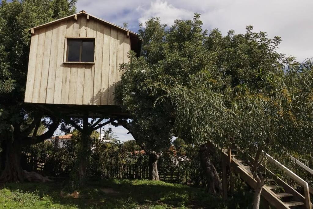 Casa Campo Con Piscina Y Barbacoa Para 6 Personas En Plena Naturaleza Picassent Eksteriør bilde