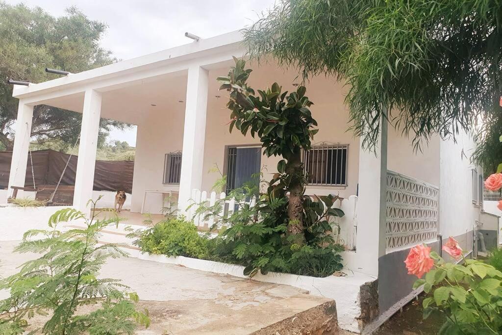 Casa Campo Con Piscina Y Barbacoa Para 6 Personas En Plena Naturaleza Picassent Eksteriør bilde